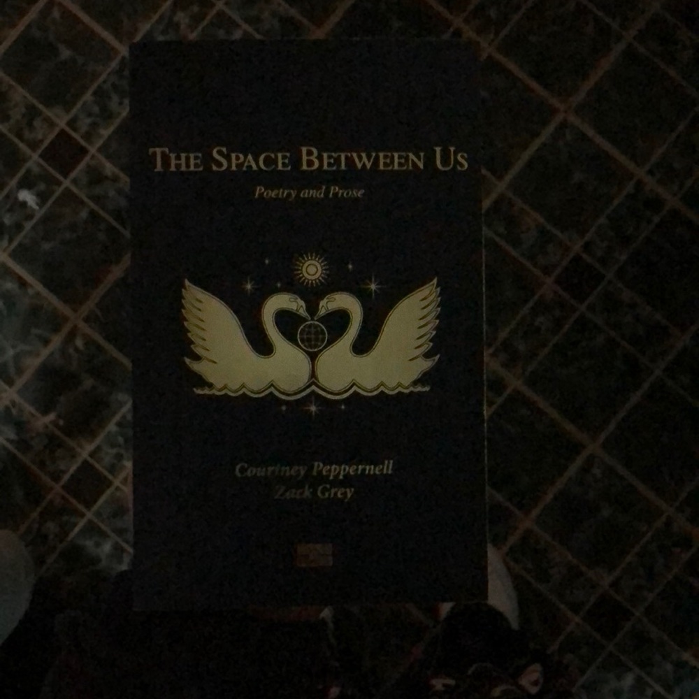 The space between us - Courtney peppernell and Zack grey